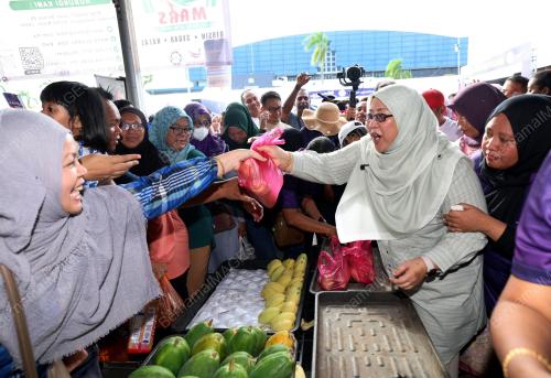 SENATOR FUZIAH SALLEH