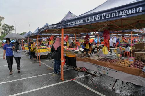 PASAR_TANI