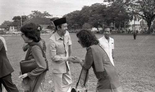 MUSA HITAM