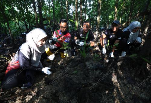 PERPADUAN KAYUHAN HIJAU