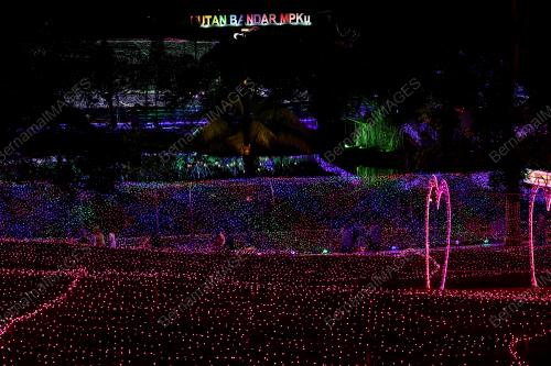 LUNA LIGHTS WONDERLAND 