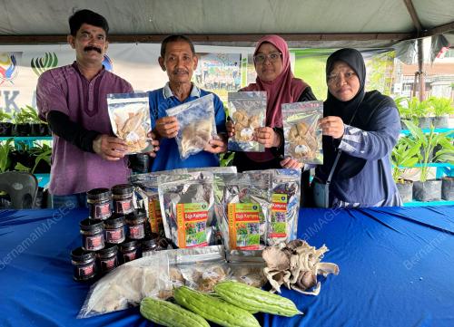 PERTANIAN BANDAR KRT TAMAN KIARAMAS