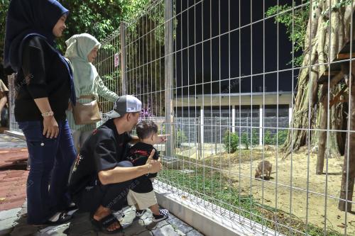 JB07_27032026_ZOO_JOHOR