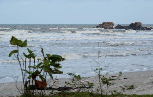JB08_01022012_LEMAS