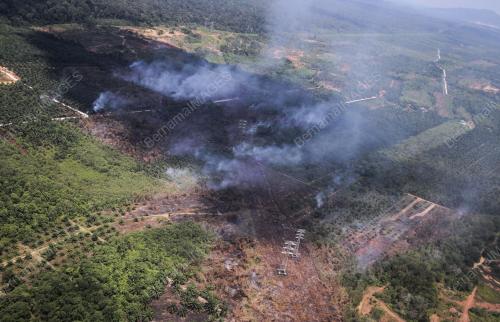 TINJAUAN UDARA CUACA KERING DAN TERBAKAR