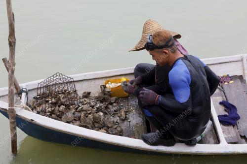 TIRAM_MUAR