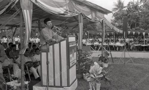 MUSA HITAM