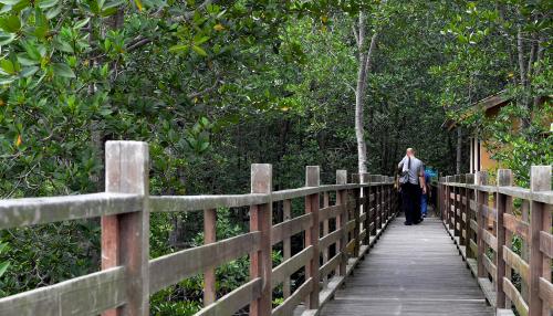 JB08_06112019_PULAU_KUKUP