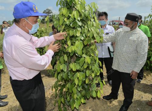 DATUK DR MOHD KHAIRUDDIN AMAN RAZALI