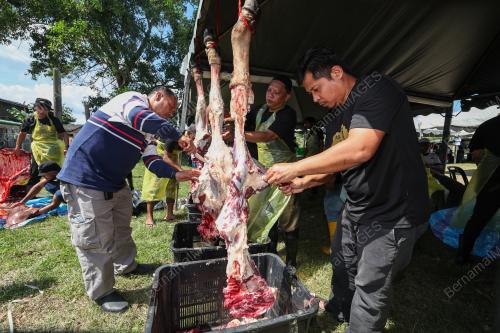 IBADAH KORBAN HARI RAYA AIDILADHA
