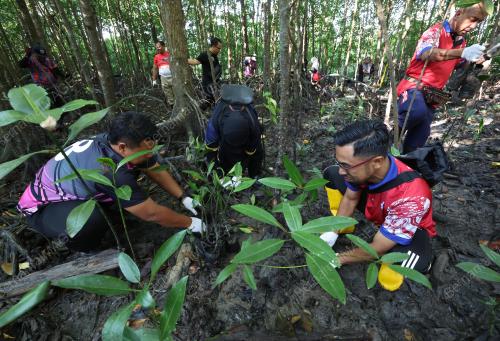 PERPADUAN KAYUHAN HIJAU