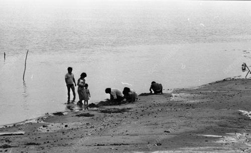 JB08_15012015_PANTAI