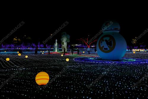 LUNA LIGHTS WONDERLAND 