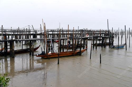 JB08_25092019_TANJUNG_PIAI