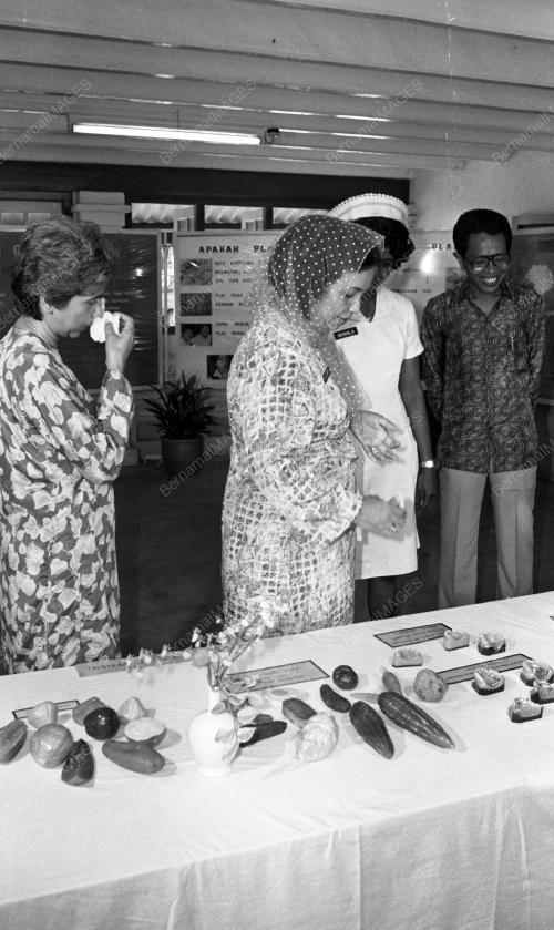 JB08_27012015_DIALOG_UMNO