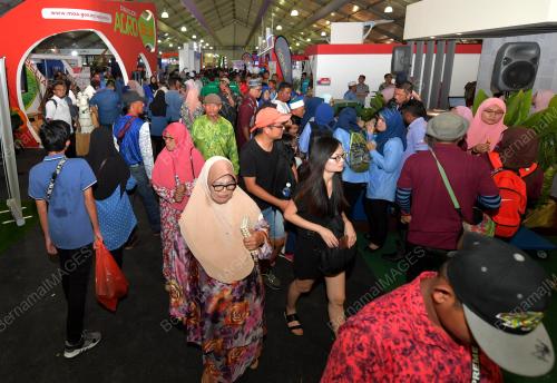 JB08_29112019_PAMERAN_HPPNK_2019