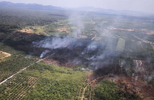 TINJAUAN UDARA CUACA KERING DAN TERBAKAR