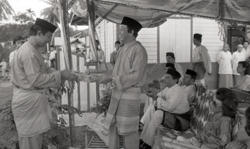 MUSA HITAM
