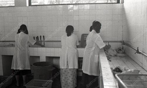 JB09_08012015_MEMPROSES_AYAM