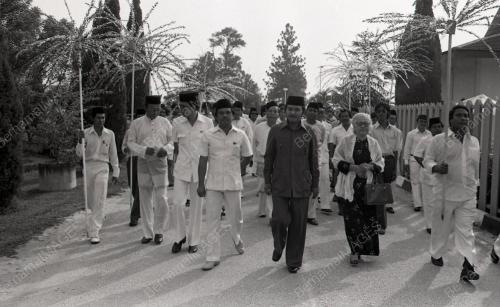 ADIB ADAM
