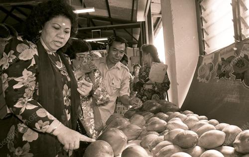 JB09_130390_LADANGEPA