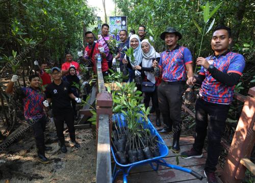 PERPADUAN KAYUHAN HIJAU