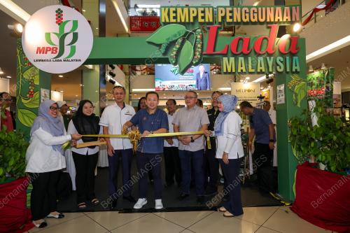 DATUK CHAN FOONG HIN