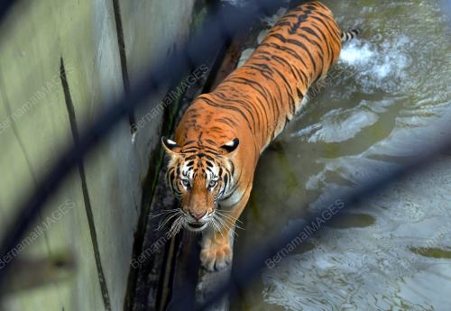ZOO JOHOR