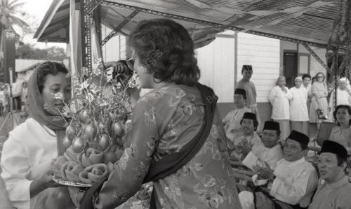 MUSA HITAM