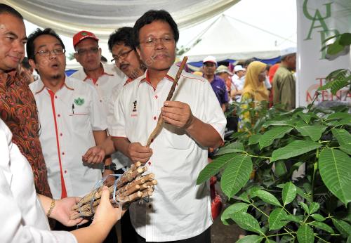 JB10_09062012_ANAK_GETAH