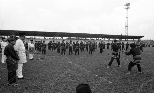 JB10_13081984_KESENIAN