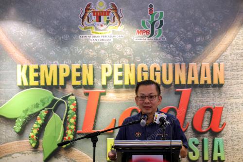 DATUK CHAN FOONG HIN