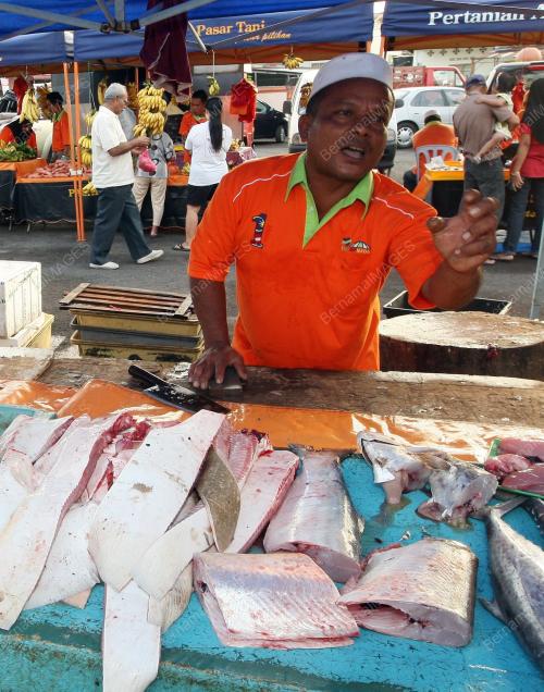 JB10_24012011_IKAN