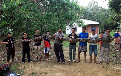 JB10_25022018_ULAR