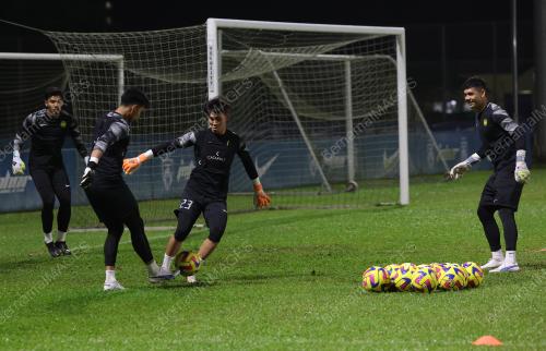 PASUKAN HARIMAU MALAYA