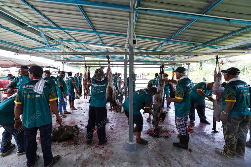 KORBAN AIDILADHA