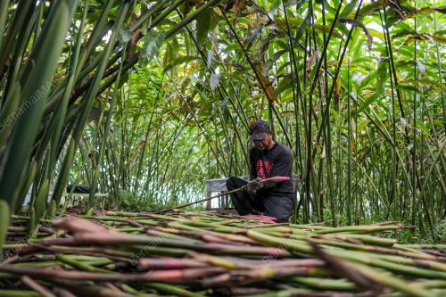 BELANJAWAN 2026 PEKEBUN KECIL