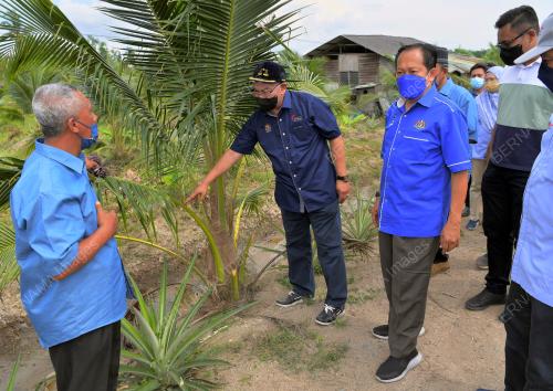 TAN SRI NOH OMAR