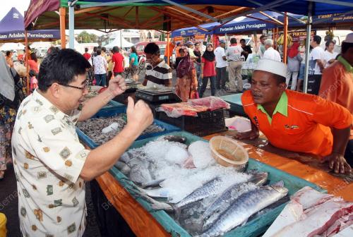 JB11_24012011_IKAN