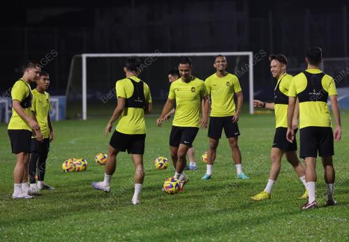 PASUKAN HARIMAU MALAYA