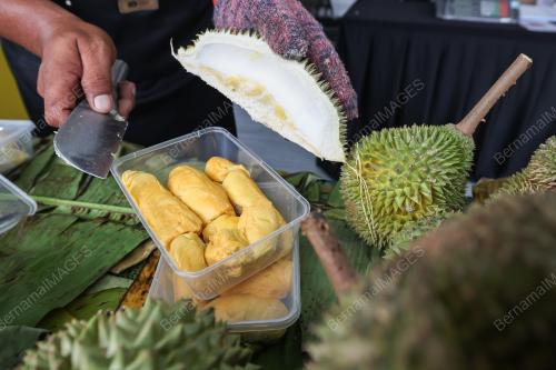 JELAJAH KARNIVAL KPDN