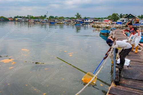PENCEMARAN PERAIRAN KAMPUR PASIR PUTIH