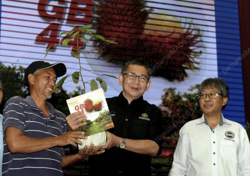 JB12_13102019_MARDI_BN201910113974
