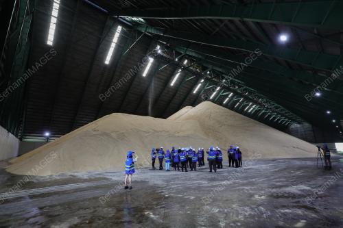 MSM SUGAR REFINERY