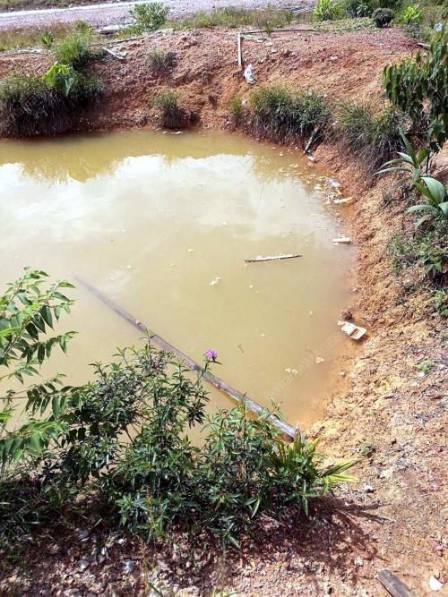 JB12_20122016_MANGSA_LEMAS