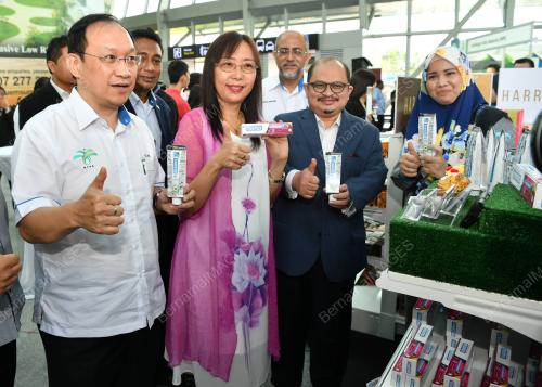JB12_24062019_PRODUK_KOKO-BN201906232944