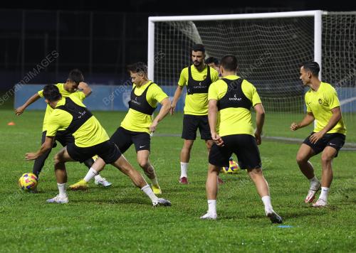 PASUKAN HARIMAU MALAYA