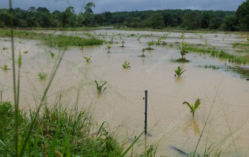 TINJAUAN BANJIR KLUANG
