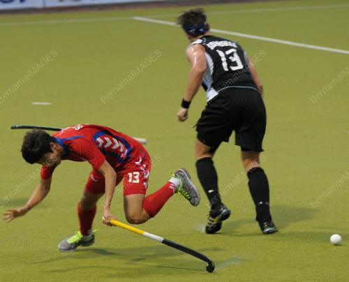 HOKI PIALA SULTAN JOHOR