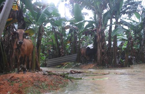 BANJIR KLUANG